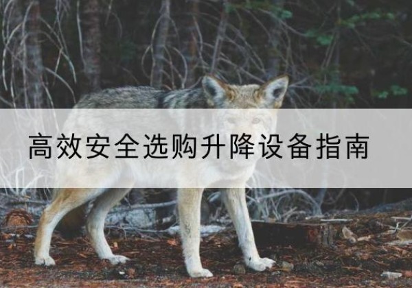 汶上升降货梯厂家推荐-*安全选购升降设备指南