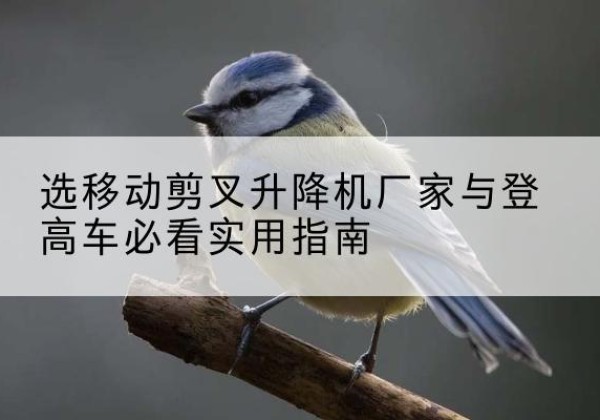 汶上电动升降机厂家-选移动剪叉升降机厂家与登高车必看实用指南
